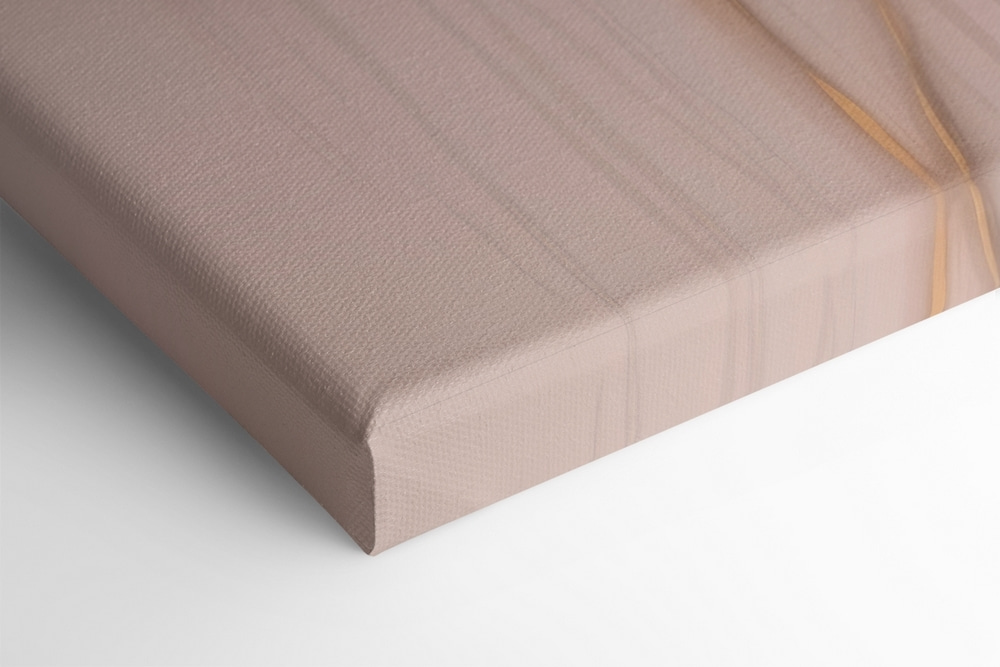 Close up of a flower Close up of a flower