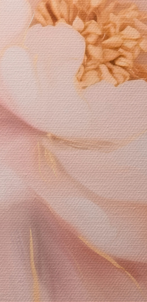 Vedere de aproape a unei flori