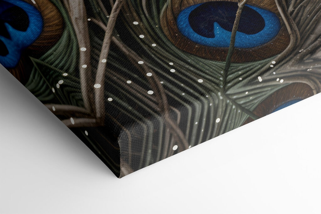 Close up of a peacock feather Close up of a peacock feather