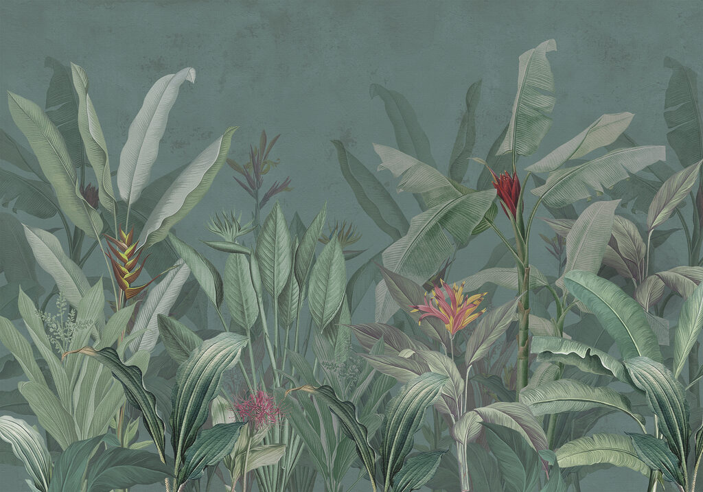 Wallpaper cu plante și flori Wallpaper cu plante și flori
