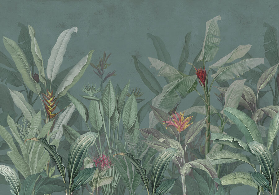 Wallpaper cu plante și flori