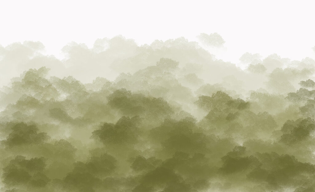Pădure cețoasă cu fum verde Pădure cețoasă cu fum verde