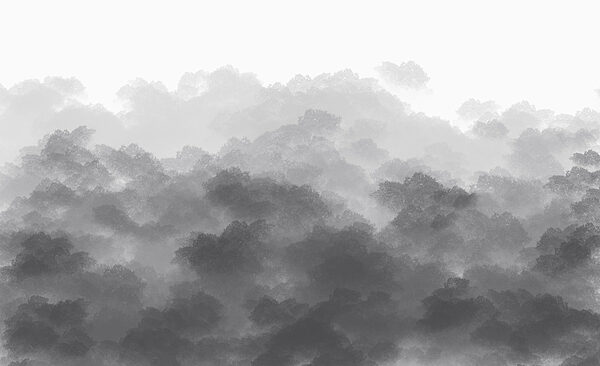 Imagine alb-negru de nori Imagine alb-negru de nori