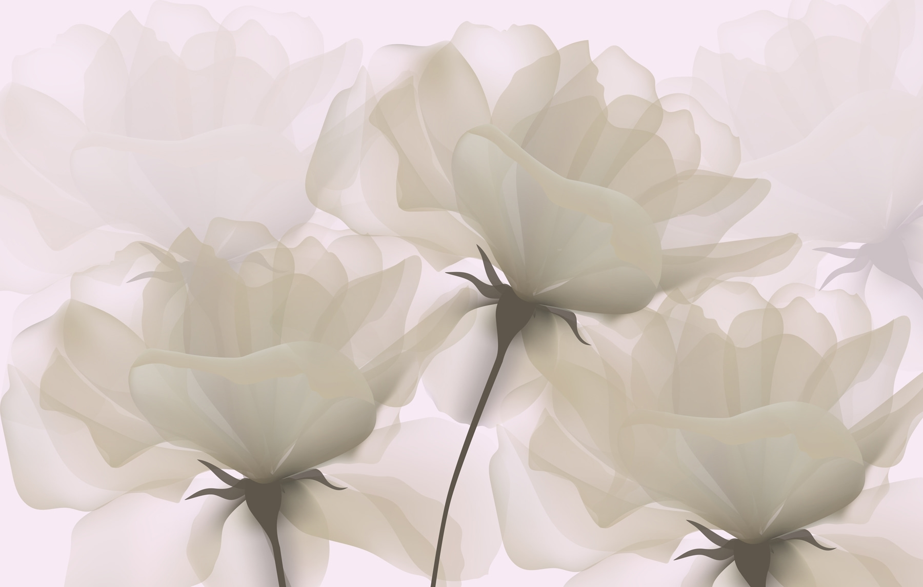 Group of white flowers