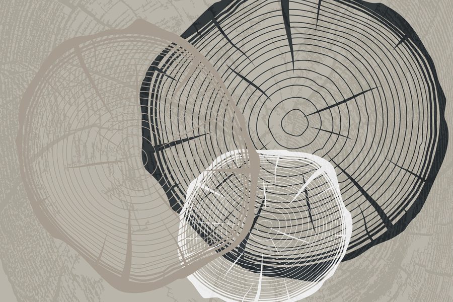 Formele abstracte converg în haos