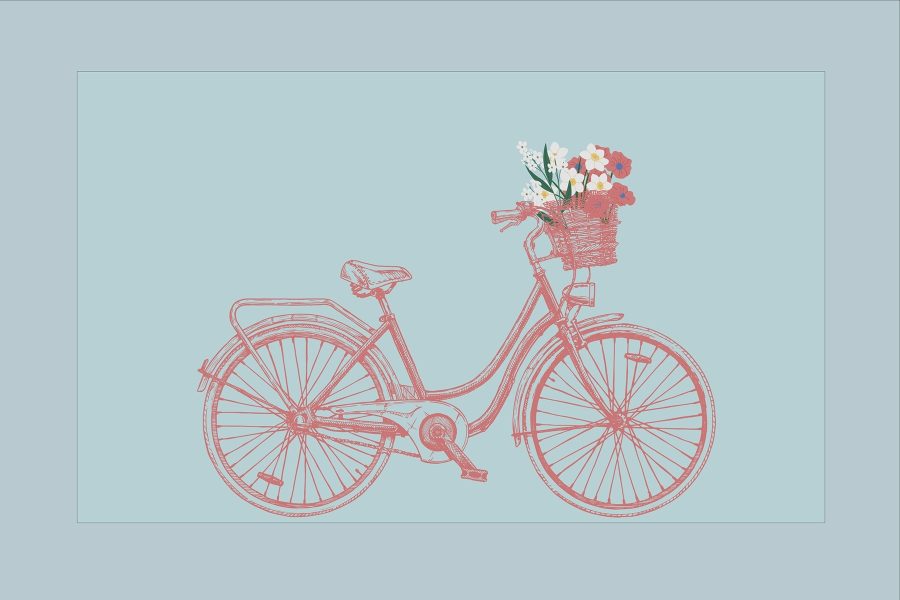 Bicicletă cu flori într-un coș Bicicletă cu flori într-un coș