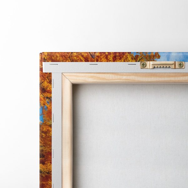 Lake with trees and leaves on the ground Lake with trees and leaves on the ground