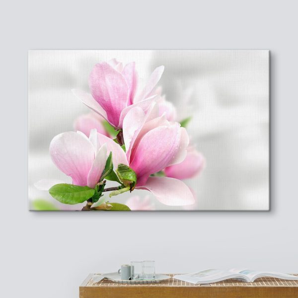 Flori roz de magnolie în floare Flori roz de magnolie în floare