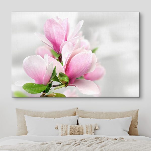 Flori roz de magnolie în floare Flori roz de magnolie în floare
