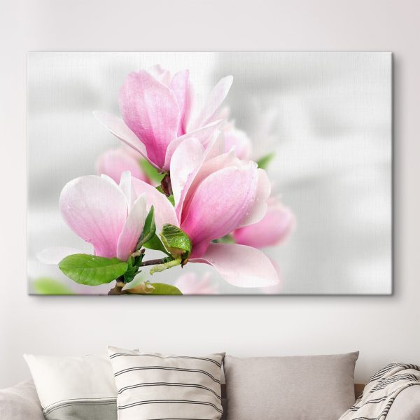 Flori roz de magnolie în floare Flori roz de magnolie în floare