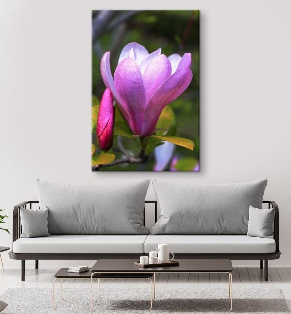Magnolia: Floarea grațioasă a naturii’ Magnolia: Floarea grațioasă a naturii’