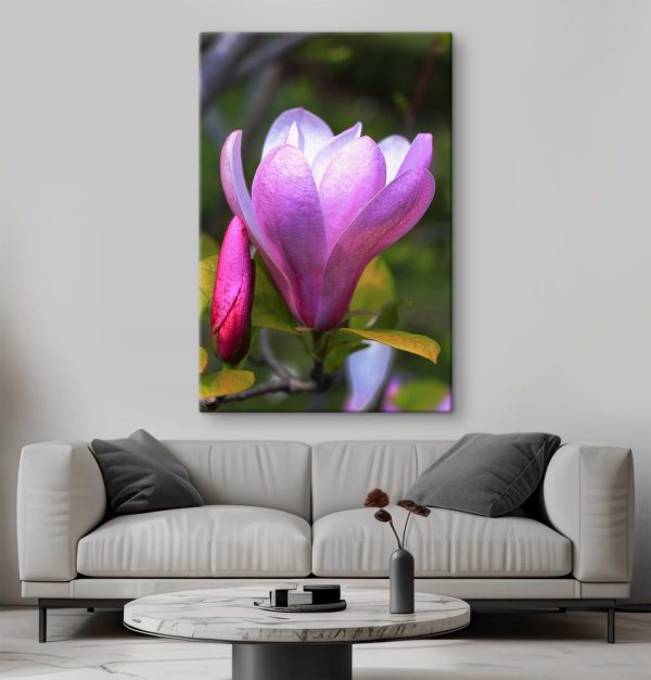 Magnolia: Floarea grațioasă a naturii’ Magnolia: Floarea grațioasă a naturii’