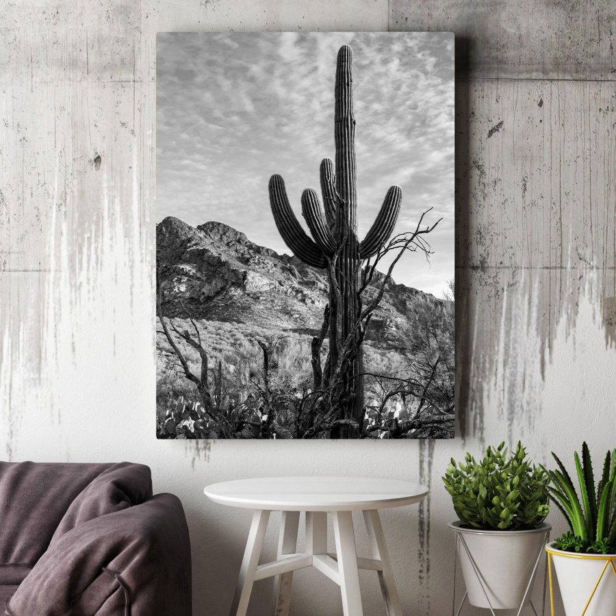 Tablouri Cactus în deșert - imagine 2