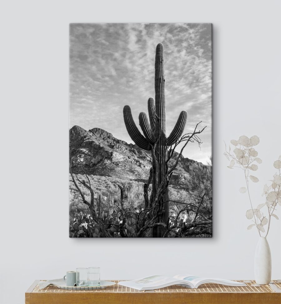 Tablouri Cactus în deșert - imagine 3