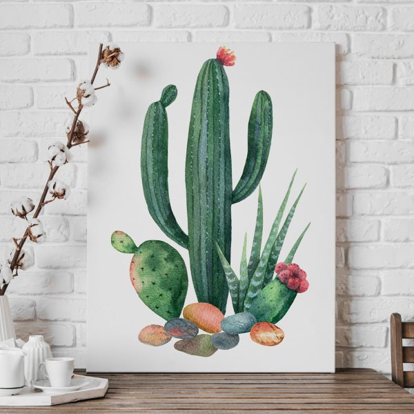 Acuarelă a unui cactus și roci Acuarelă a unui cactus și roci