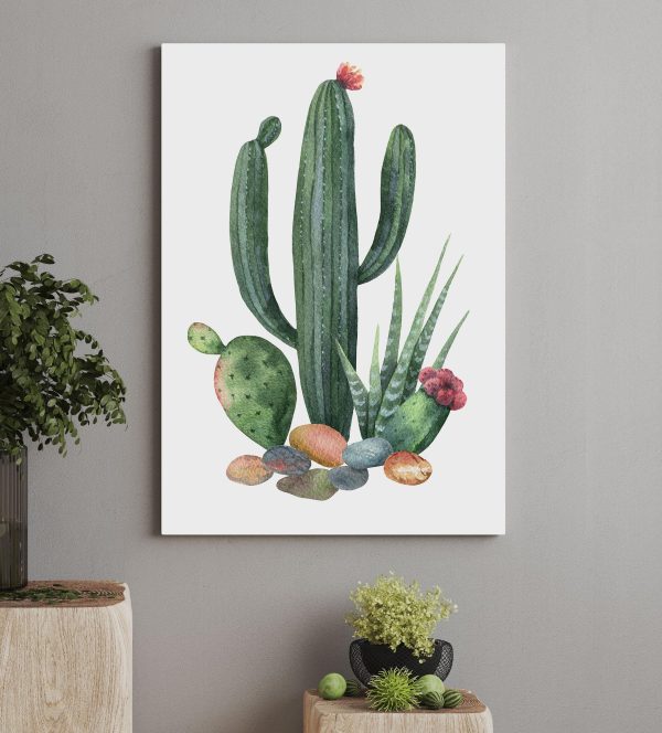 Acuarelă a unui cactus și roci Acuarelă a unui cactus și roci