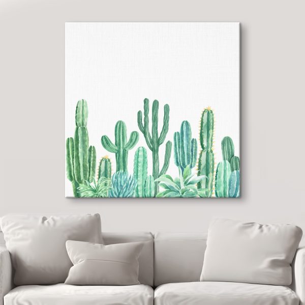 Grup de cactuși și plante suculente Grup de cactuși și plante suculente
