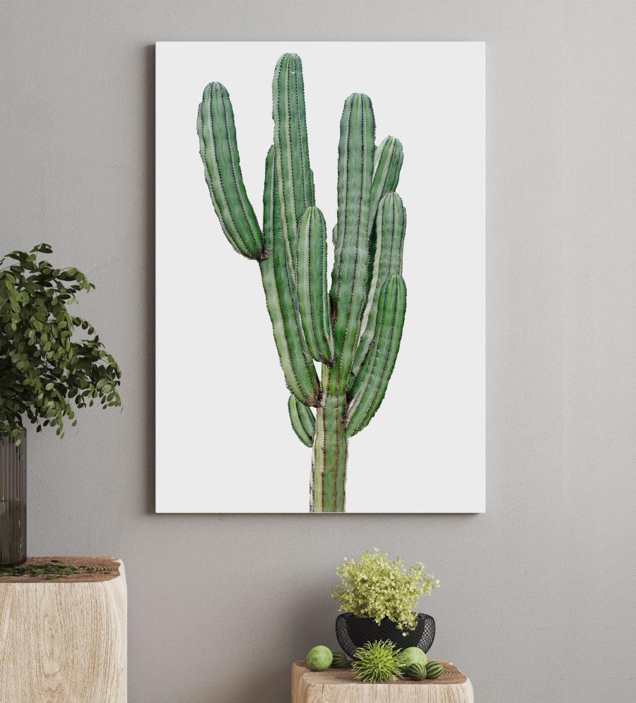 Cactus cu tulpini verzi lungi și subțiri