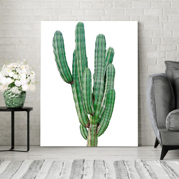 Cactus cu tulpini verzi lungi și subțiri Cactus cu tulpini verzi lungi și subțiri