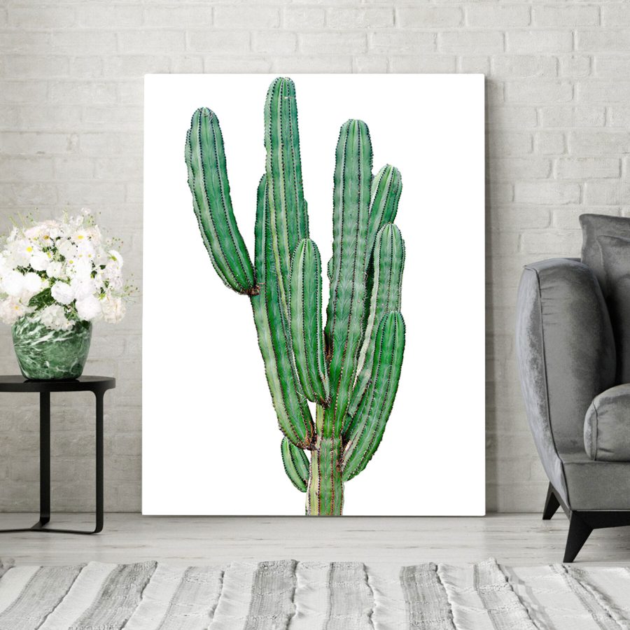 Cactus cu tulpini verzi lungi și subțiri