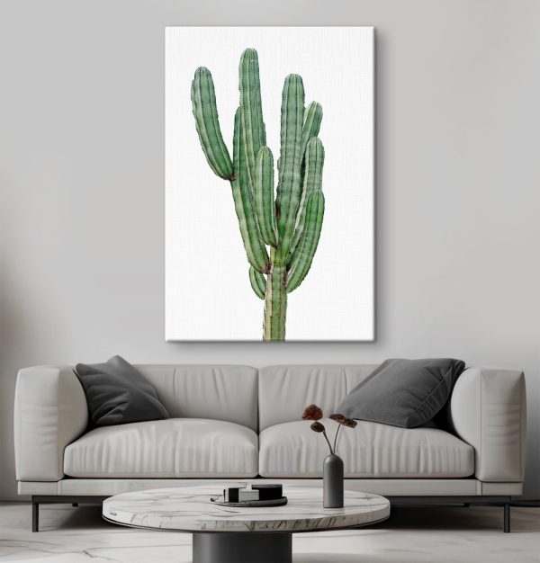 Cactus cu tulpini verzi lungi și subțiri Cactus cu tulpini verzi lungi și subțiri