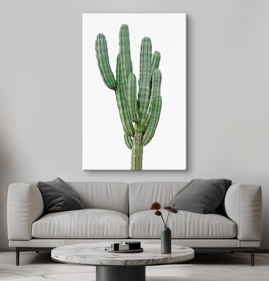 Cactus cu tulpini verzi lungi și subțiri