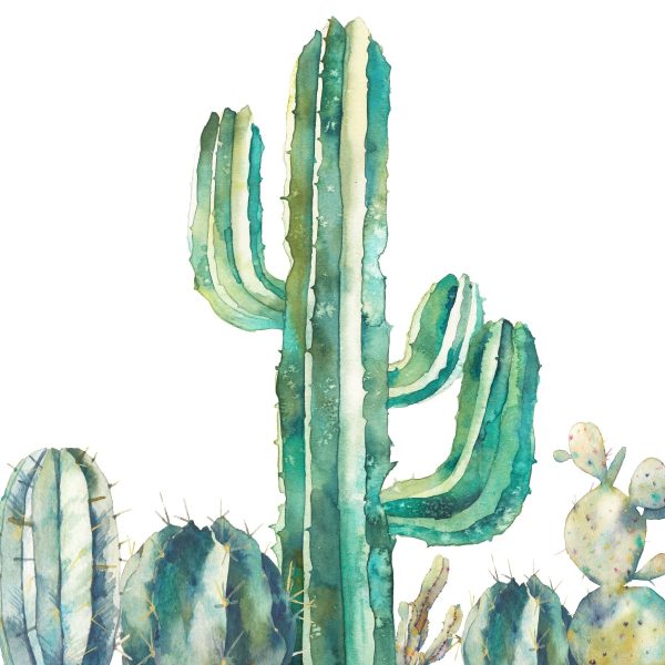 Acuarelă a unui cactus Acuarelă a unui cactus