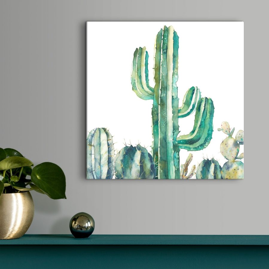 Acuarelă a unui cactus Acuarelă a unui cactus