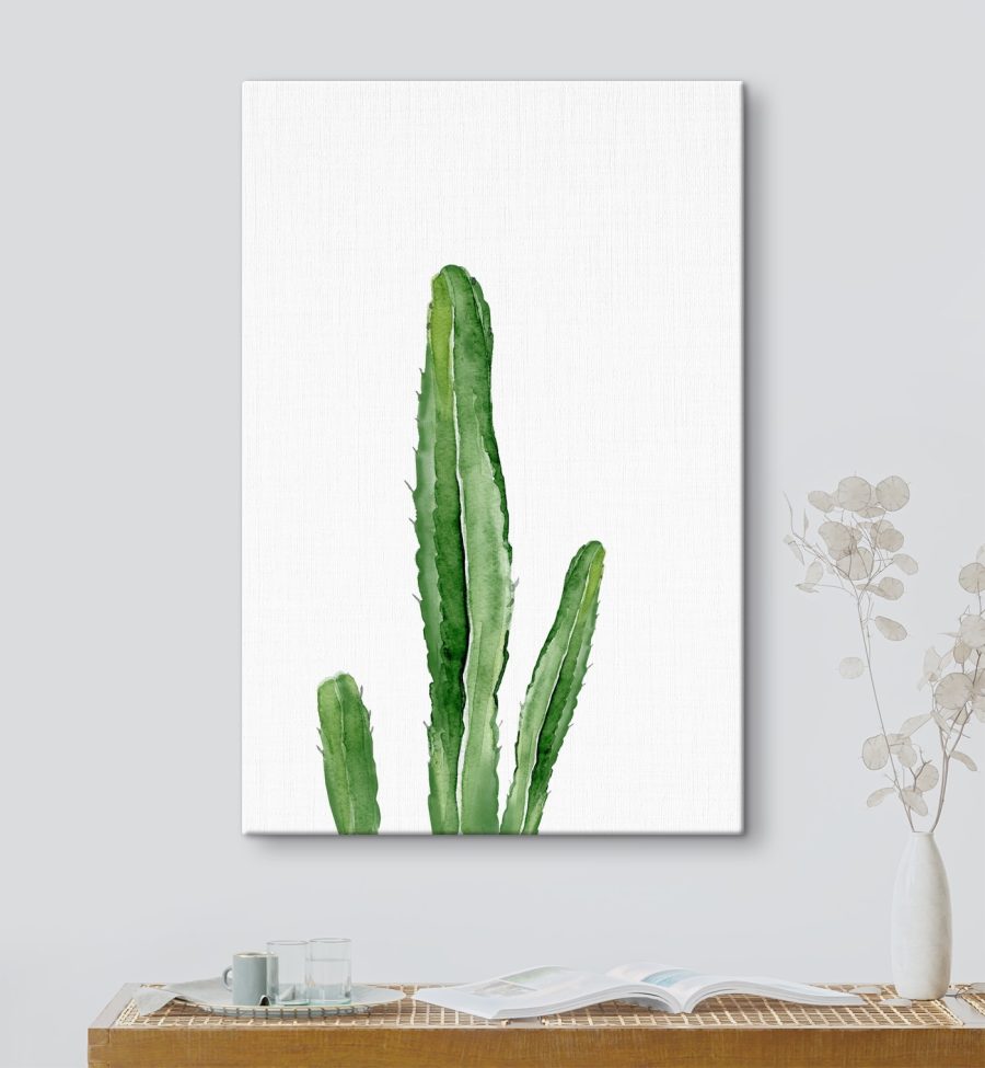 Cactus verde cu tulpini lungi