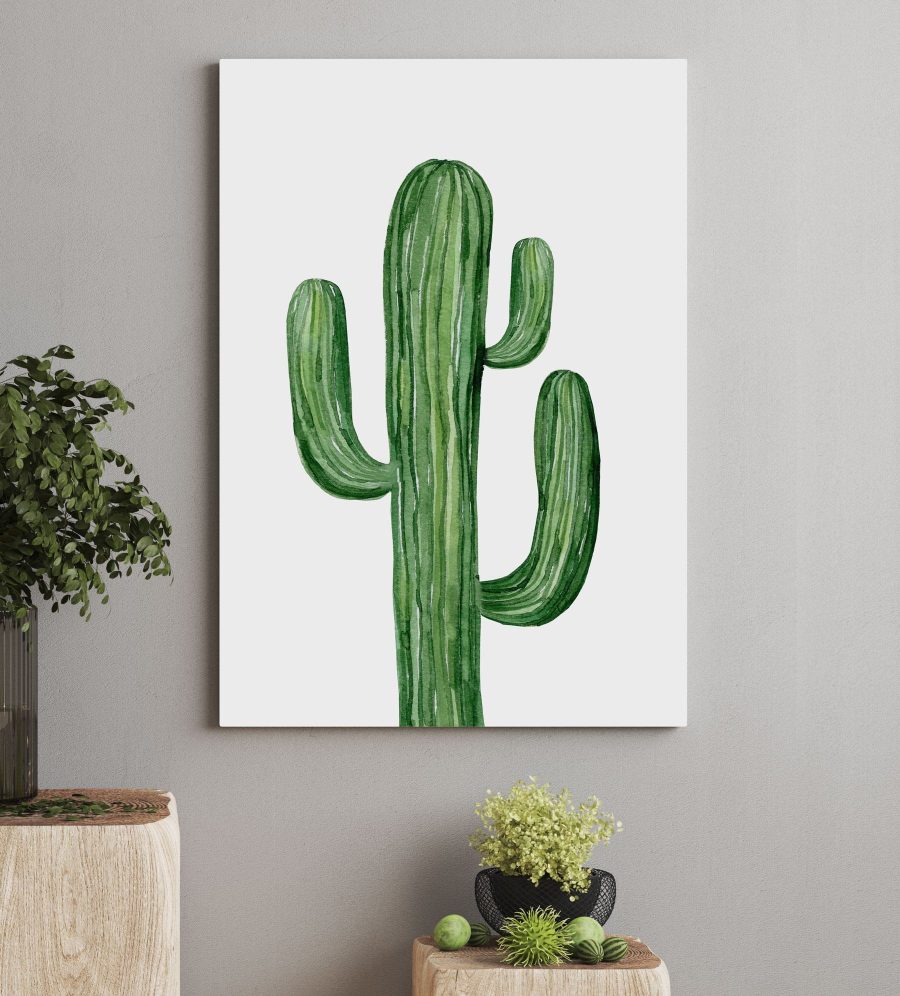 Cactus verde pe un fundal alb Cactus verde pe un fundal alb