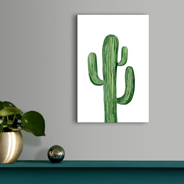 Cactus verde pe un fundal alb Cactus verde pe un fundal alb