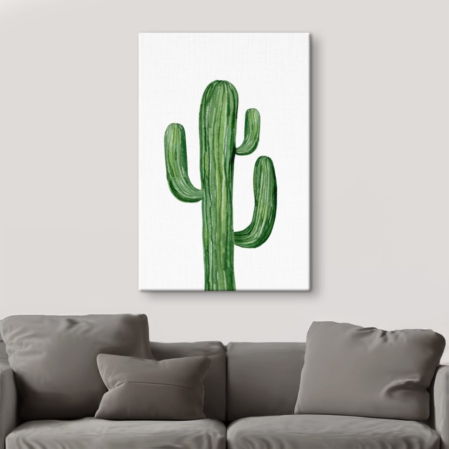 Cactus verde pe un fundal alb Cactus verde pe un fundal alb
