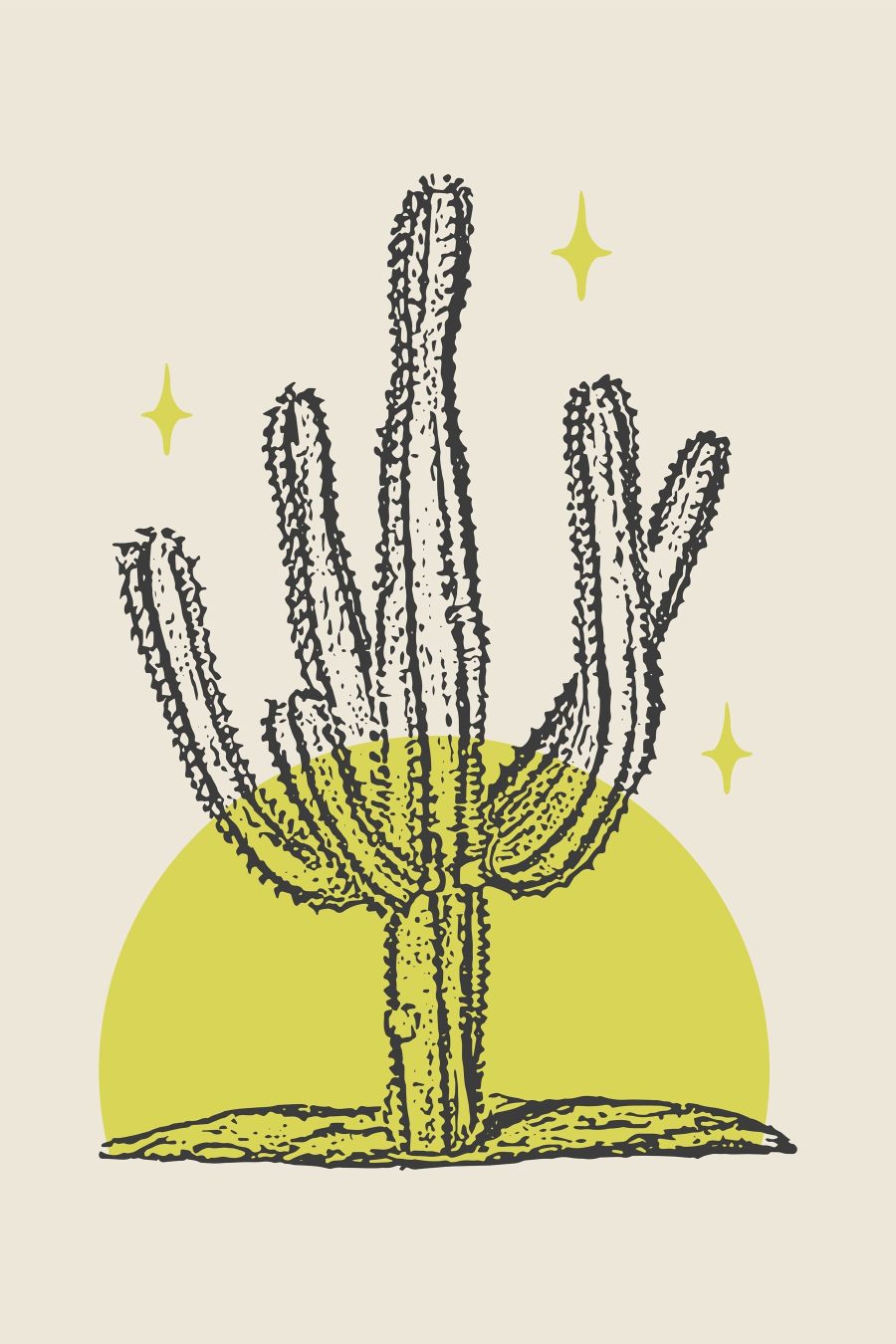 Cactus cu un cerc galben și stele