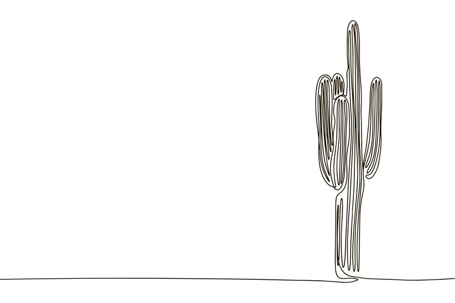 Cactus desenat într-o singură linie
