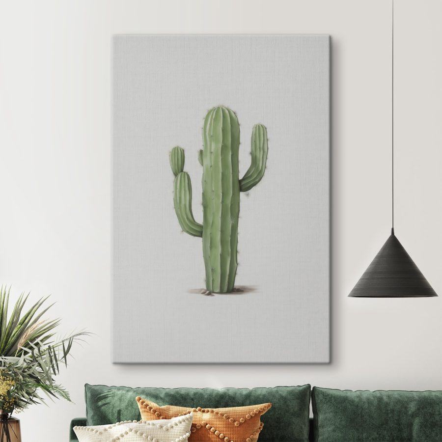 Cactus cu ace pe el