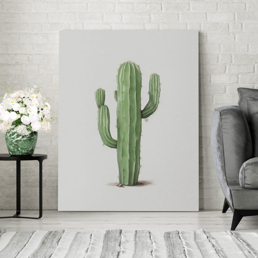Cactus cu ace pe el