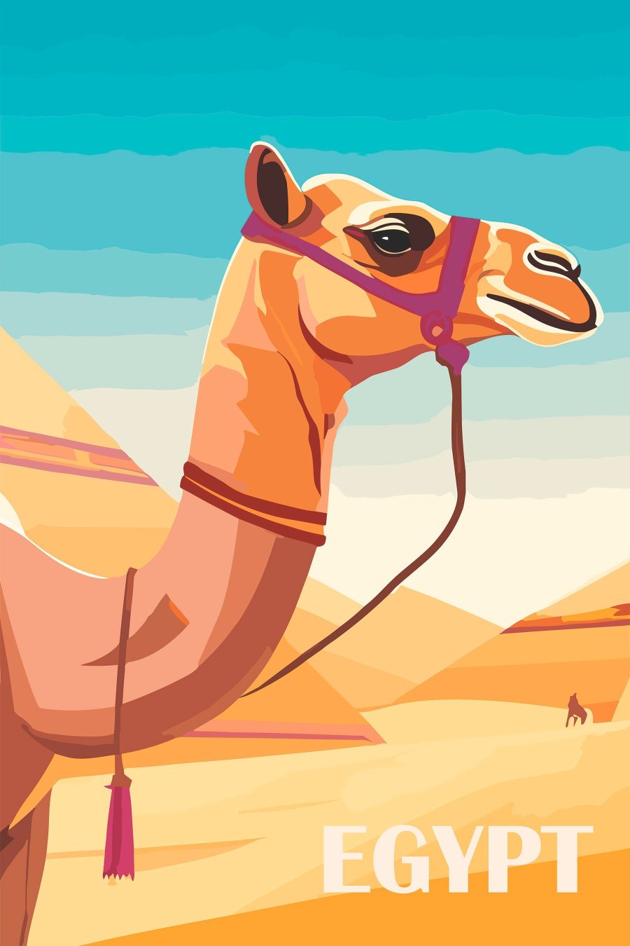 Camel cu un halter Camel cu un halter