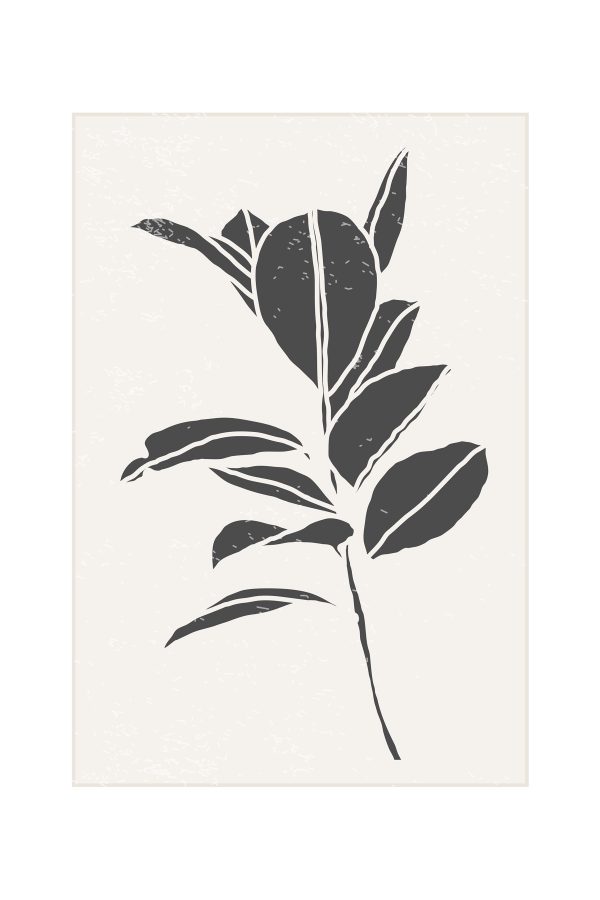 Desen alb-negru al unei plante Desen alb-negru al unei plante