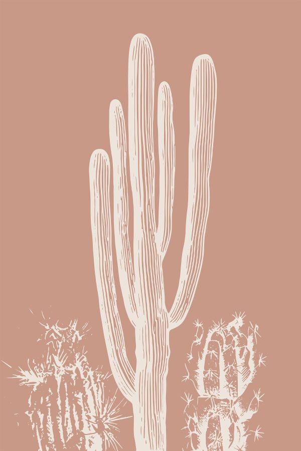 Cactus cu linii albe Cactus cu linii albe