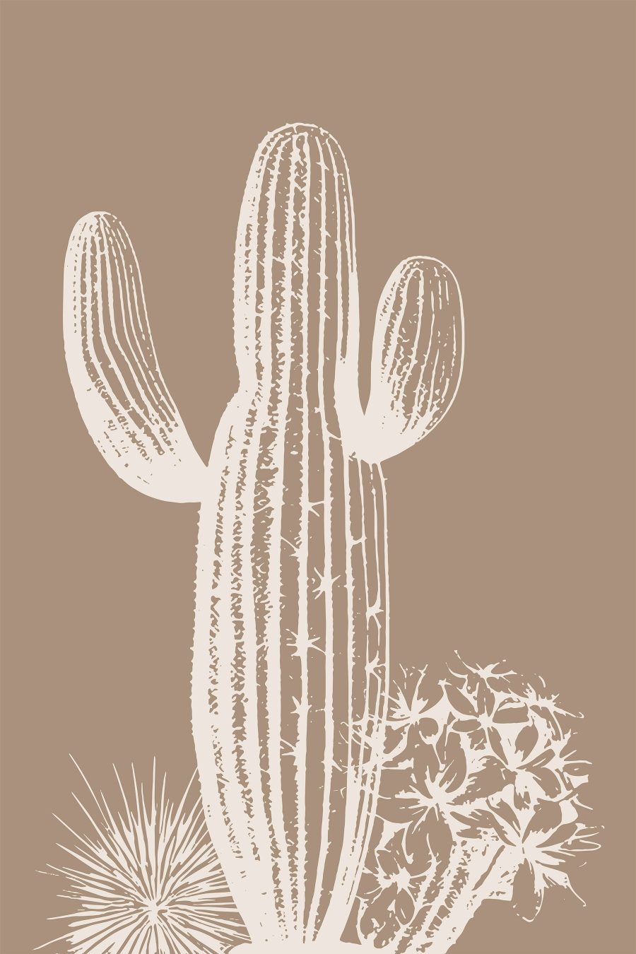 Cactus cu spini și flori Cactus cu spini și flori