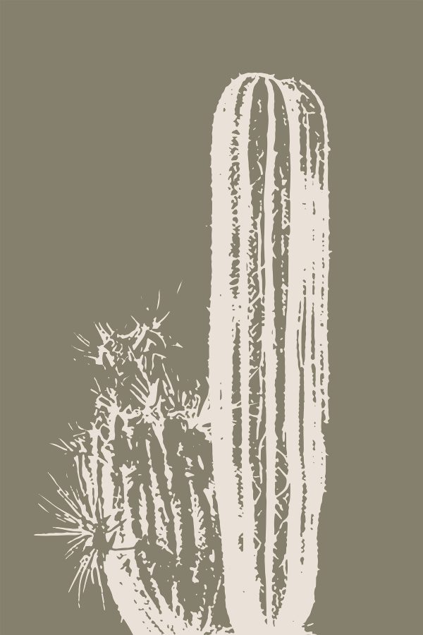 Cactus alb cu un fundal maro Cactus alb cu un fundal maro