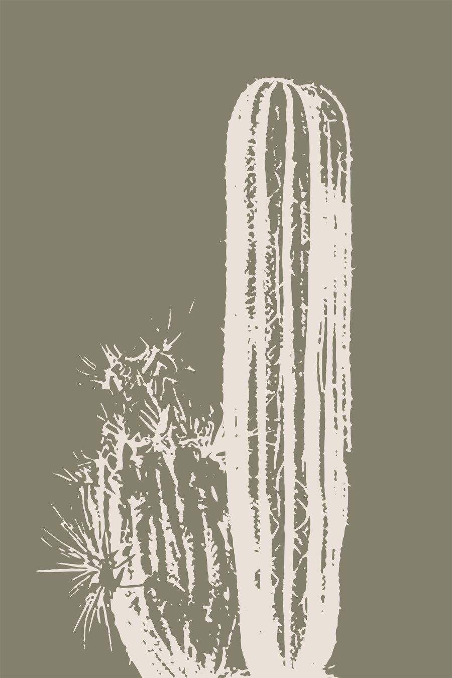 Cactus alb cu un fundal maro