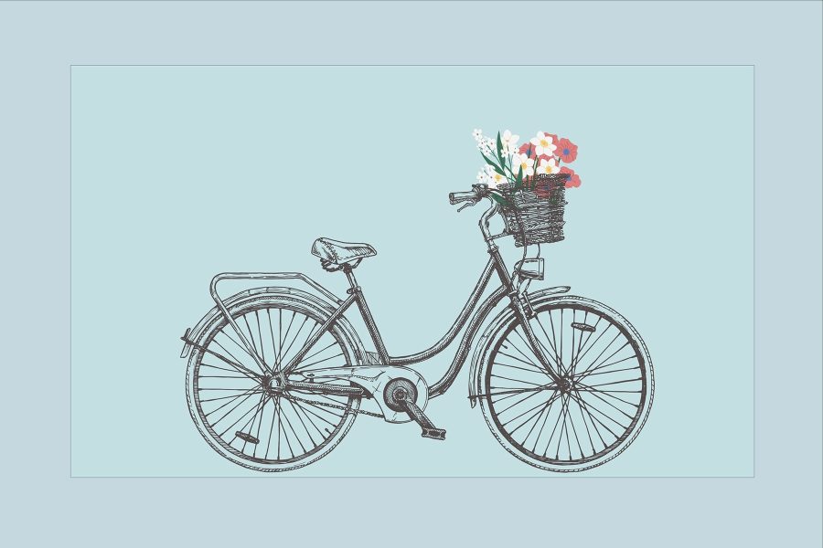 Bicicletă cu flori într-un coș Bicicletă cu flori într-un coș