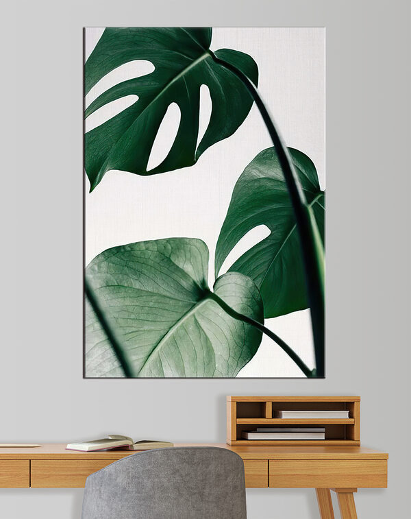 Delicate foliage against white backdrop Delicate foliage against white backdrop
