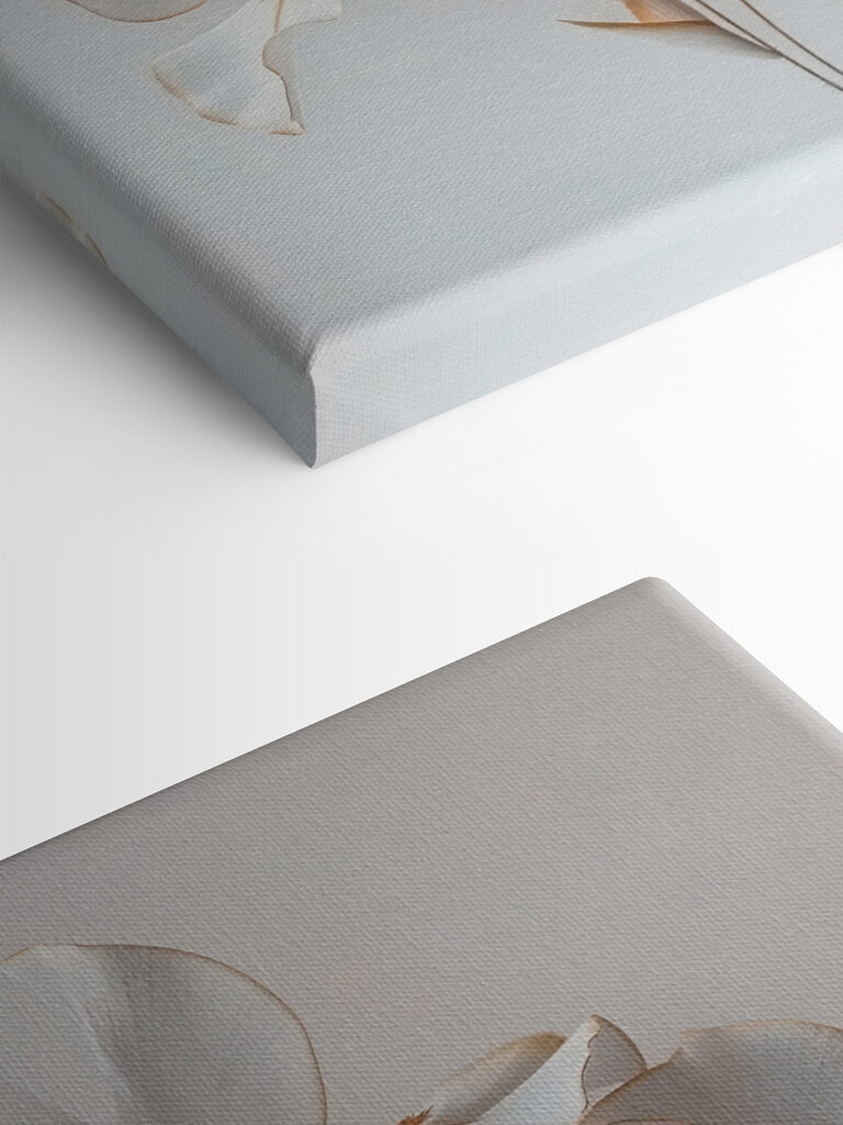 Delicate petals, soft and elegant