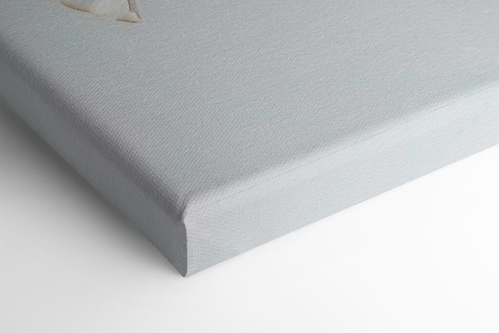 Delicate petals, soft and elegant