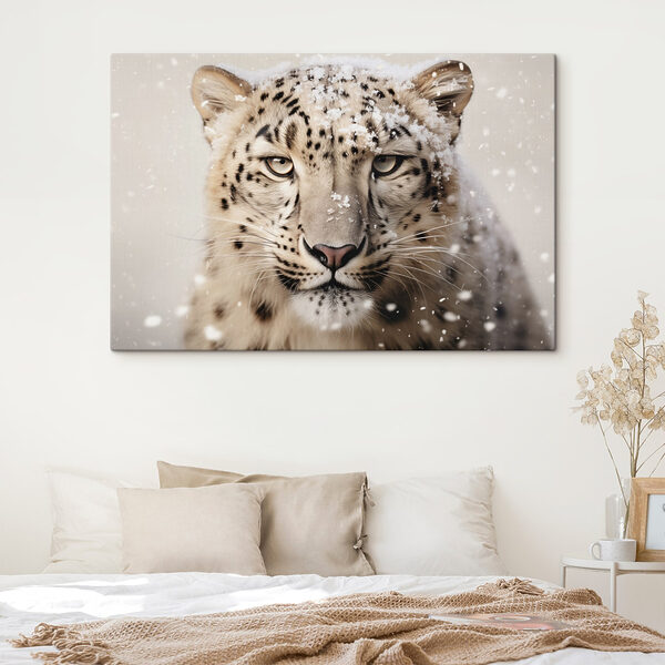 Leopard de zăpadă cu zăpadă pe cap Leopard de zăpadă cu zăpadă pe cap