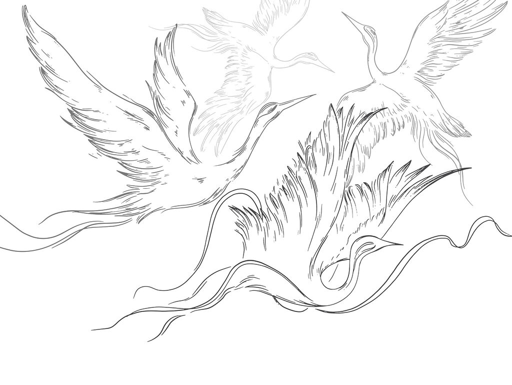 Drawing of birds flying