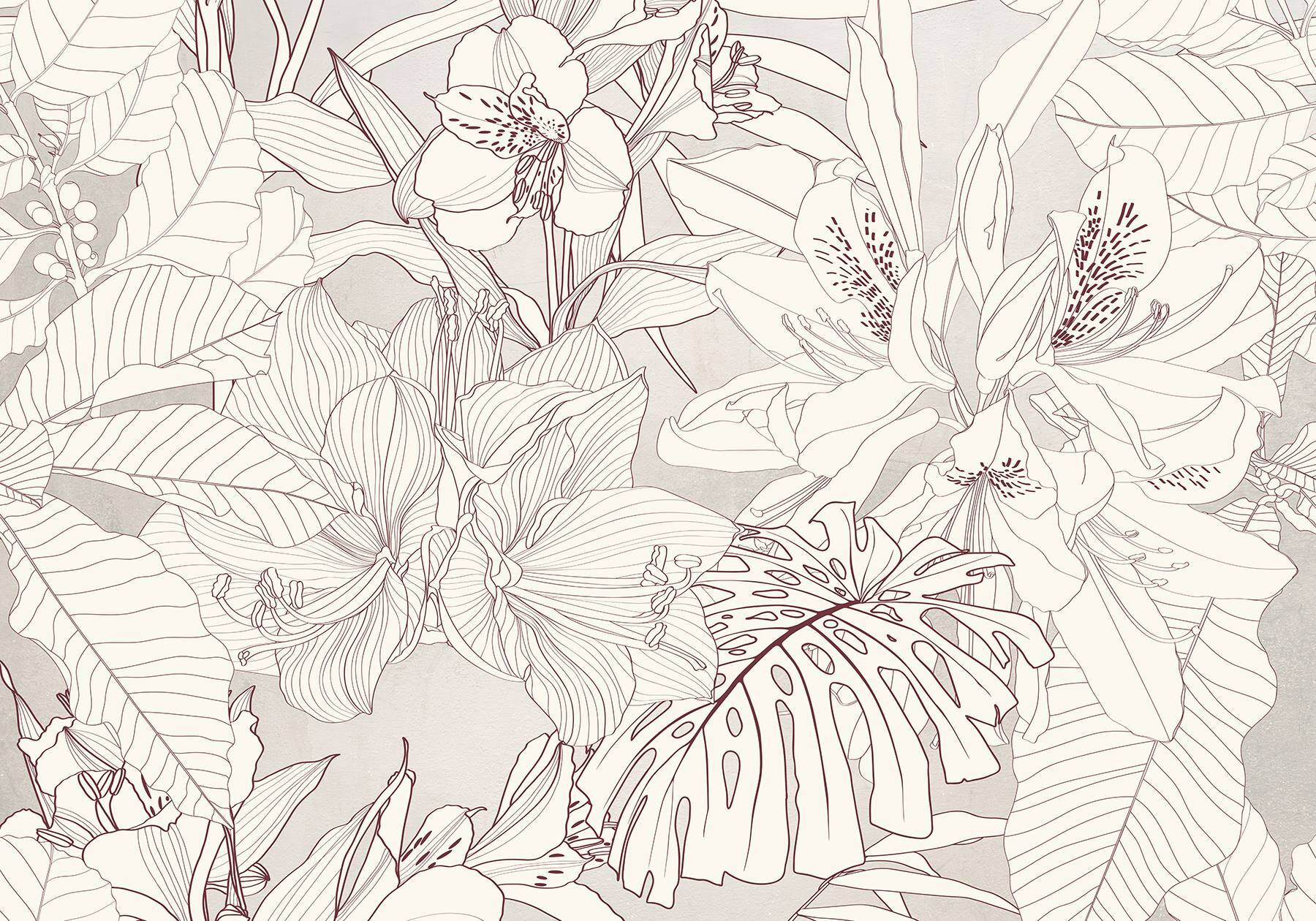 Nature's delicate floral patterns unfold