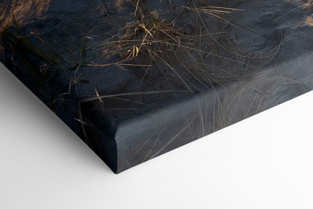 Path to the beach Path to the beach